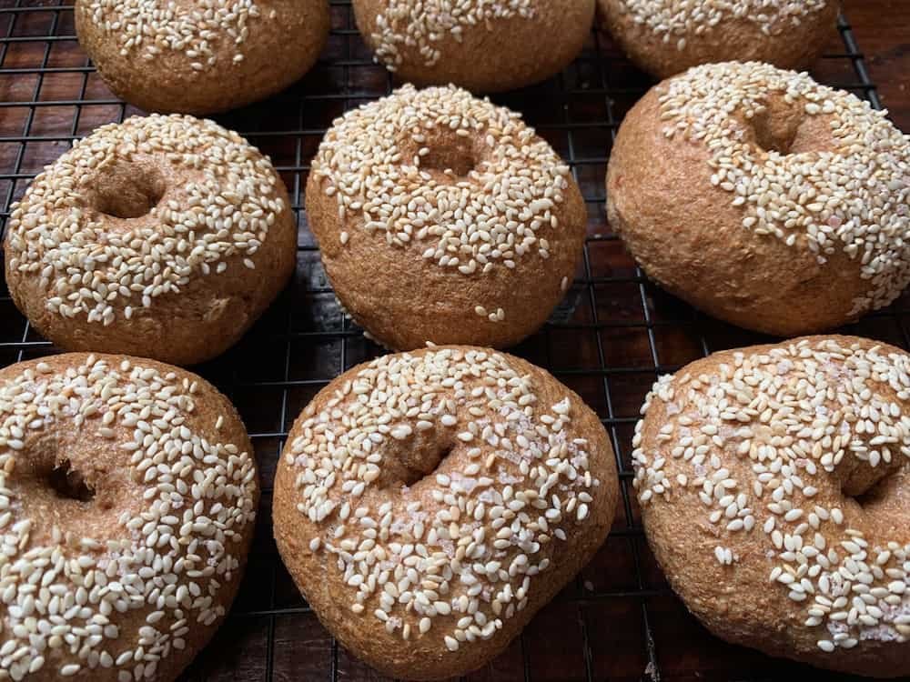 Sourdough Bagels Singing Vegan