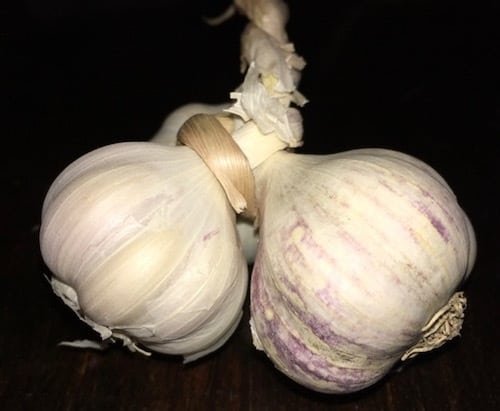 creamy-roasted-garlic-salad-dressing-vegan-singing-vegan